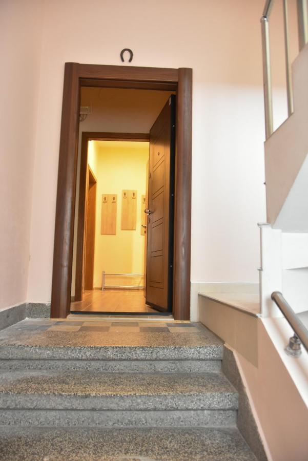 Trimaya - Comfort In The Center Varna